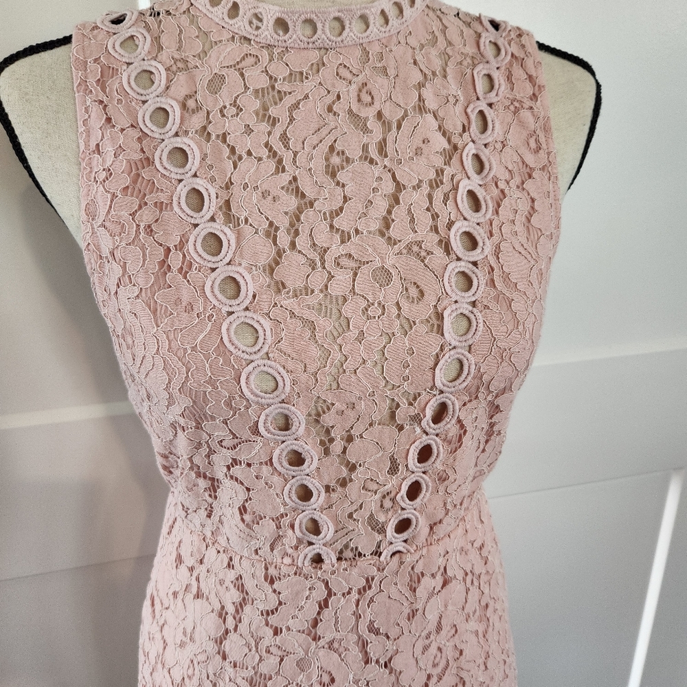 🍉 Main Strip Pink Lace Dress Size Large - Picture 4 of 6